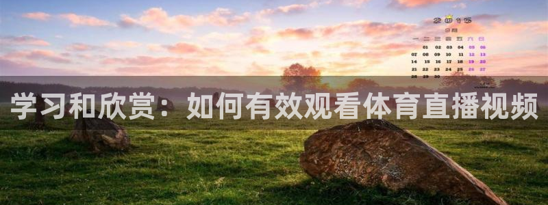 蓝鲸鱼直播app：学习和欣赏：如何有效观看体育直播视频