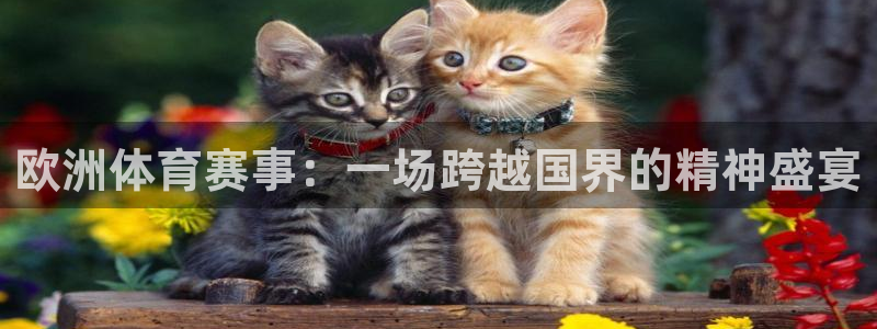 蓝鲸体育直播入口：欧洲体育赛事：一场跨越国界的精神盛宴
